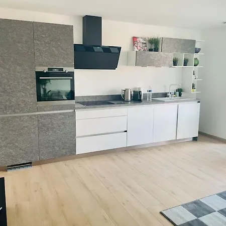 Apartment One Bedroom In Center W Terrace *
