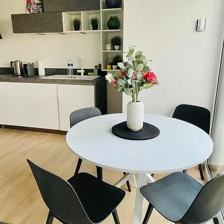 One Bedroom In Center W Terrace * Luxembourg